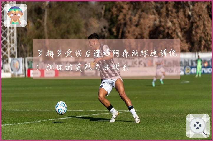 罗梅罗受伤后遭遇阿森纳球迷调侃：祝你的英冠之旅顺利