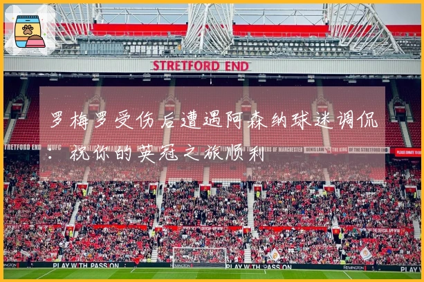 罗梅罗受伤后遭遇阿森纳球迷调侃：祝你的英冠之旅顺利